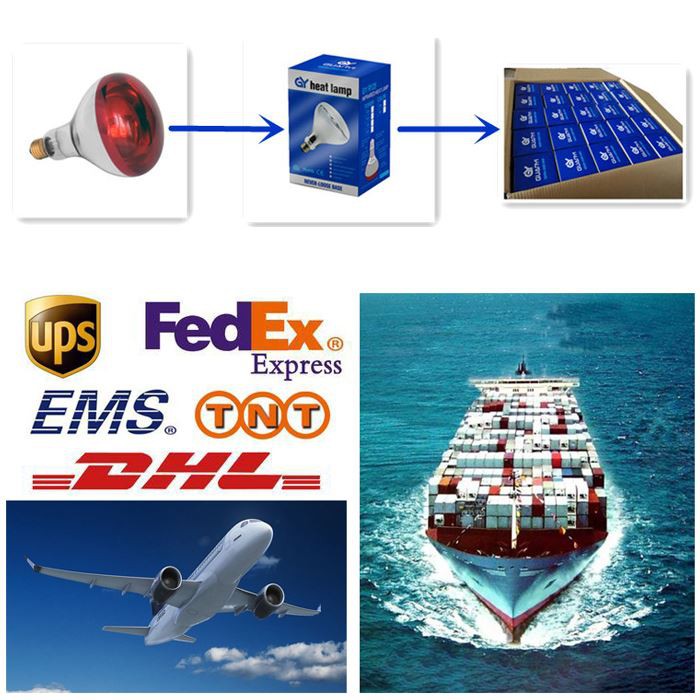 Transport of infrared halogen lamp